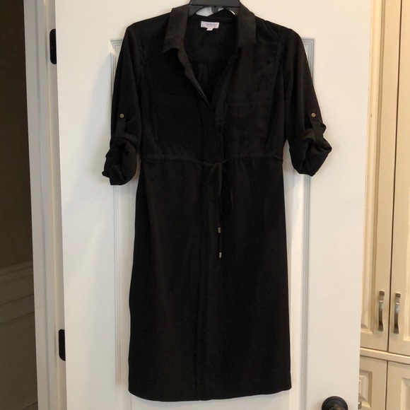 A Pea in the Pod Dresses & Skirts - A Pea in the Pod Maternity Dress